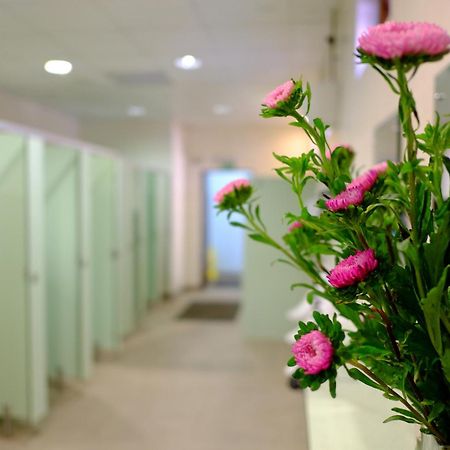 Hotel Glamping At South Lytchett Manor Poole Exteriér fotografie