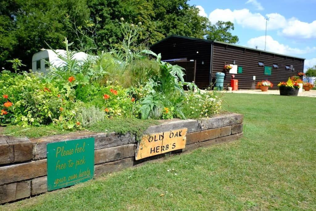 Hotel Glamping At South Lytchett Manor Poole Exteriér fotografie